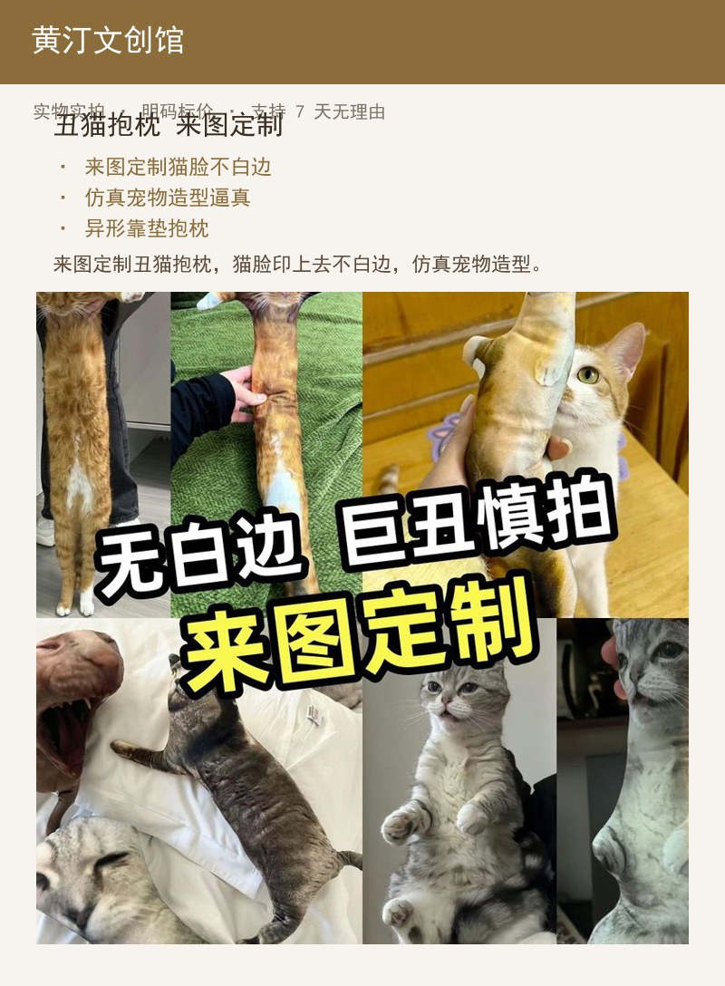 丑猫抱枕 来图定制 详情图