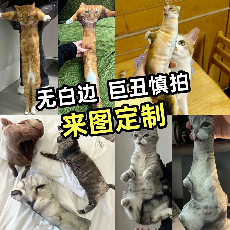 丑猫抱枕来图定制狗猫咪照片diy异形无白边仿真宠物玩偶靠垫礼物【4天内发货】